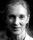 Jane Goodall